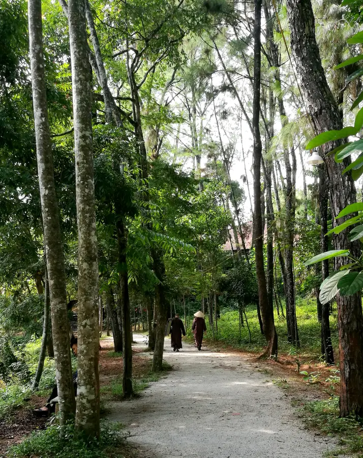 Two nuns walking a forest path